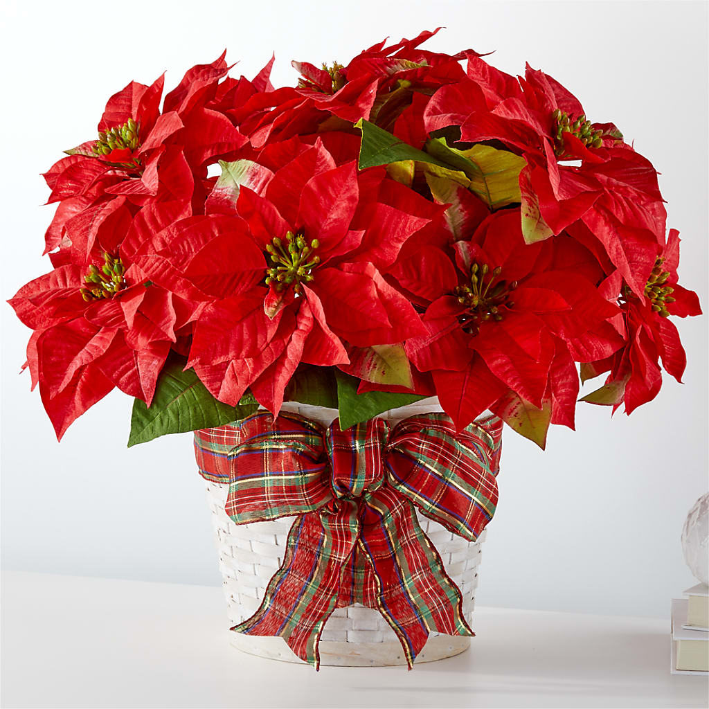 Happiest Holidays Poinsettia – Family Fare Supermarkets #3785, Omaha NE