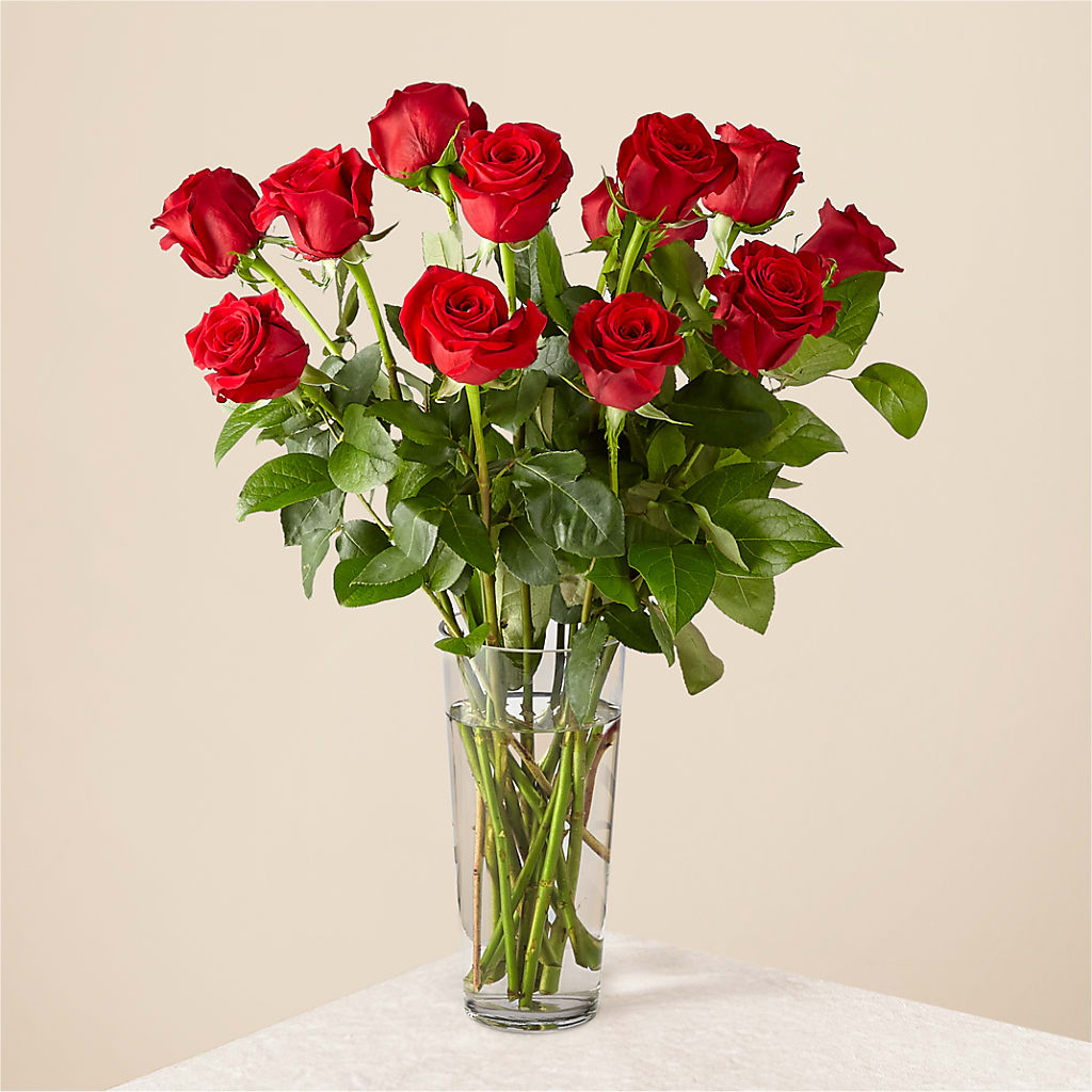Long Stem Red Rose Bouquet – Family Fare Supermarkets #3785, Omaha NE