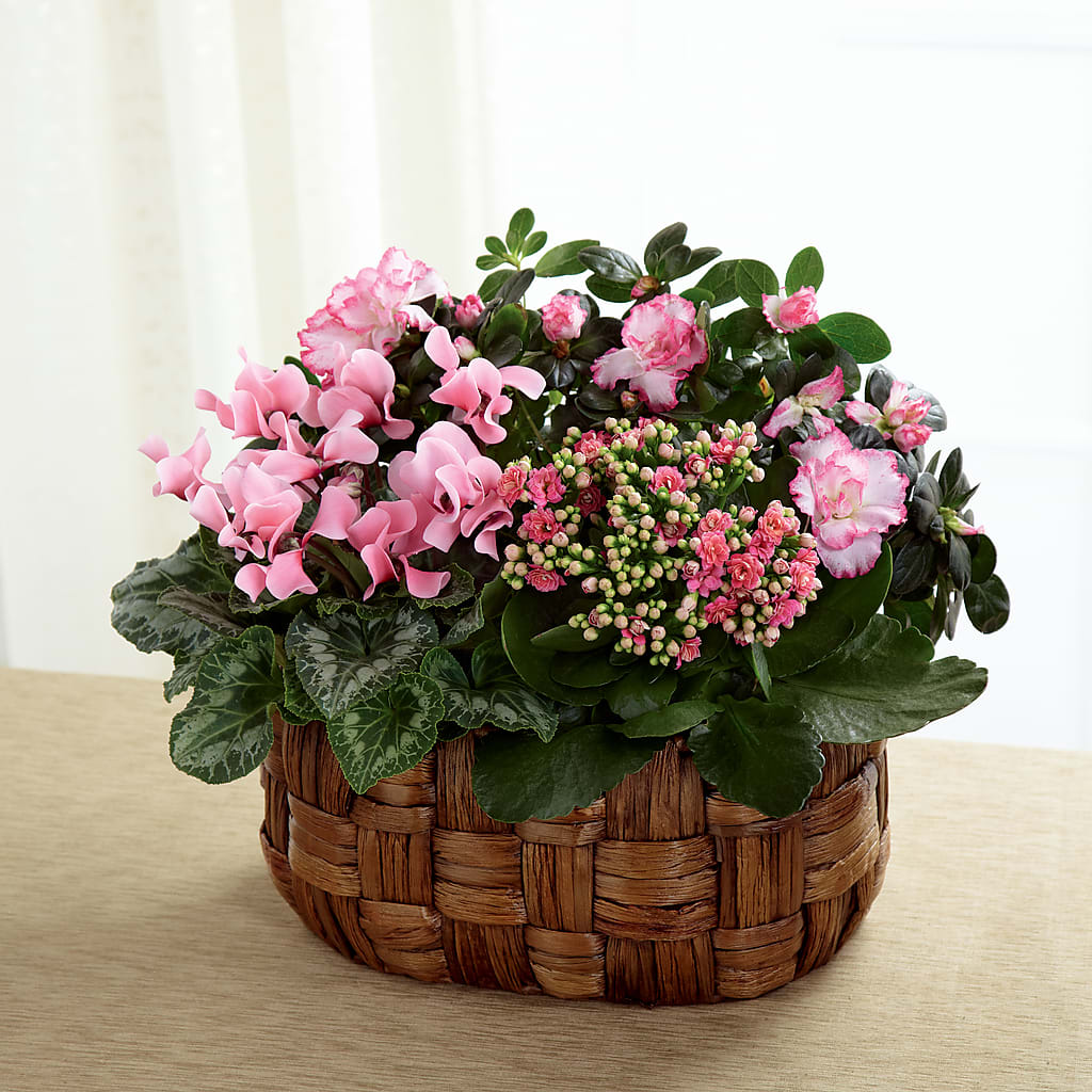 Pink Assortment – Family Fare Supermarkets #3785, Omaha NE