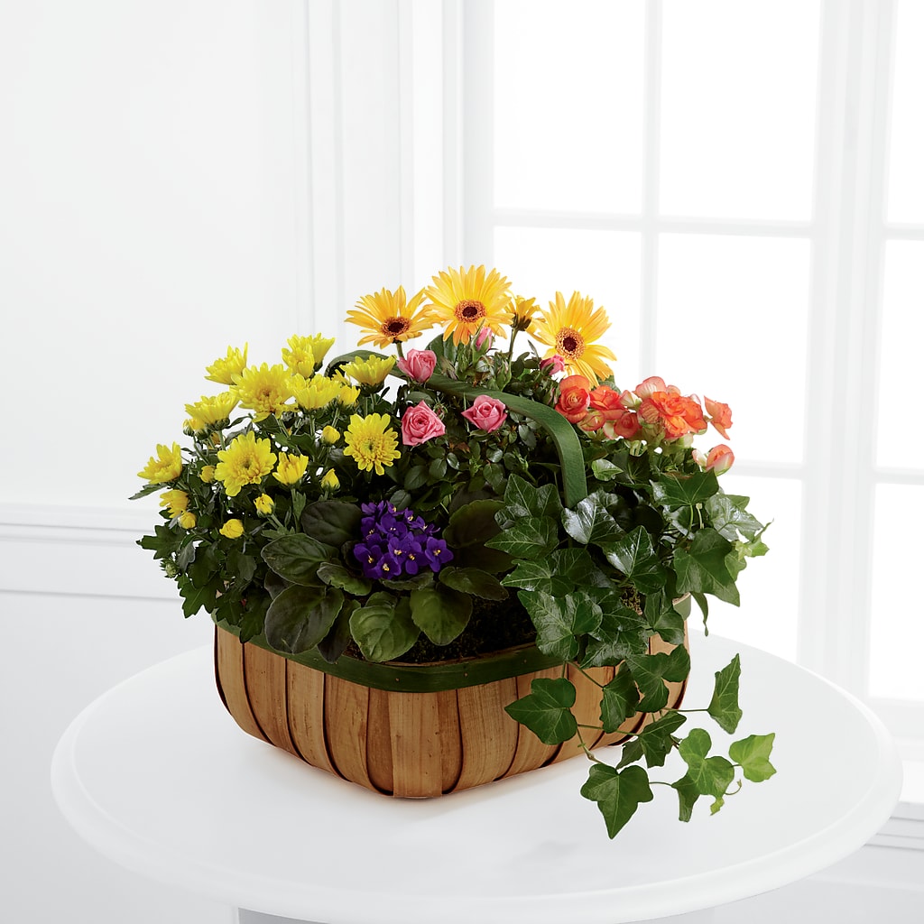 Gentle Blossoms Basket – Family Fare Supermarkets #3785, Omaha NE