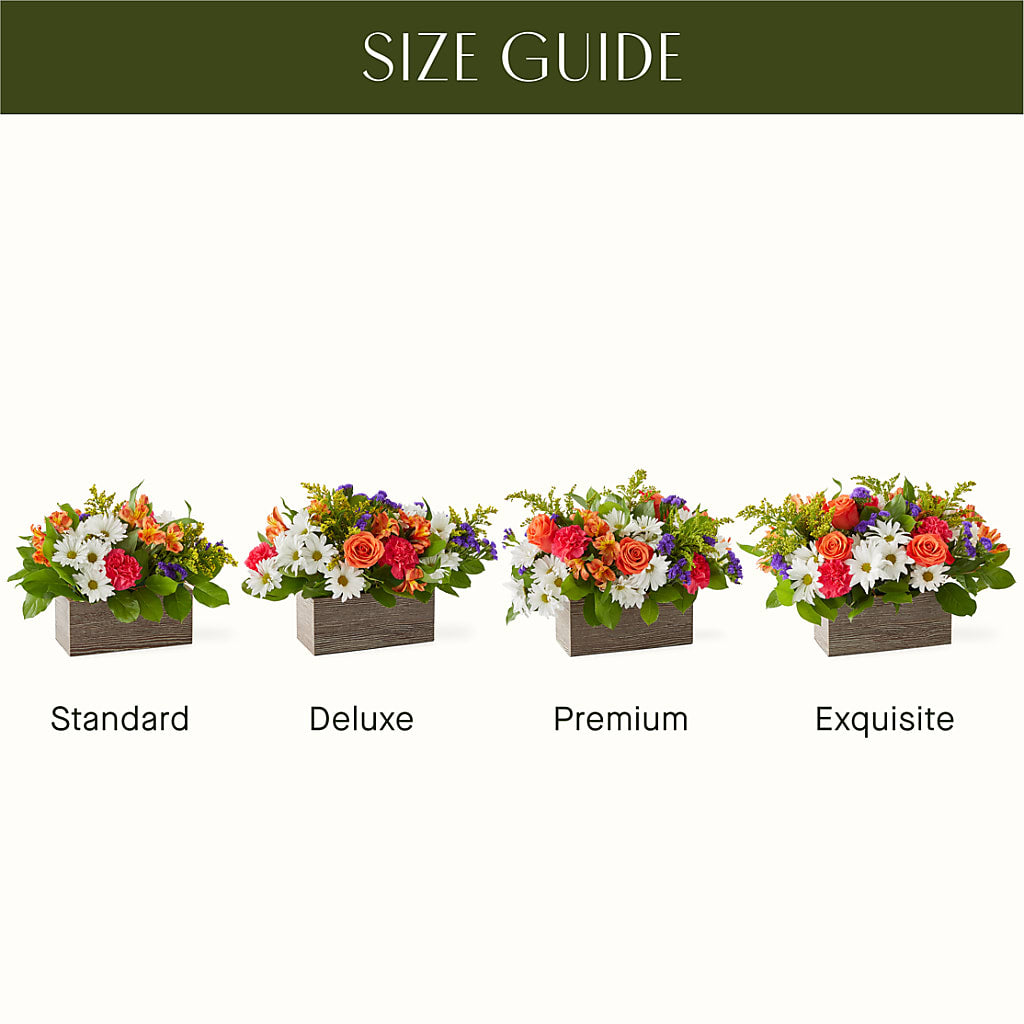 Oopsie Daisy Box Bouquet – Family Fare Supermarkets #3785, Omaha NE