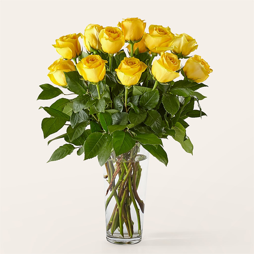 Long Stem Yellow Rose Bouquet – Family Fare Supermarkets #3785, Omaha NE