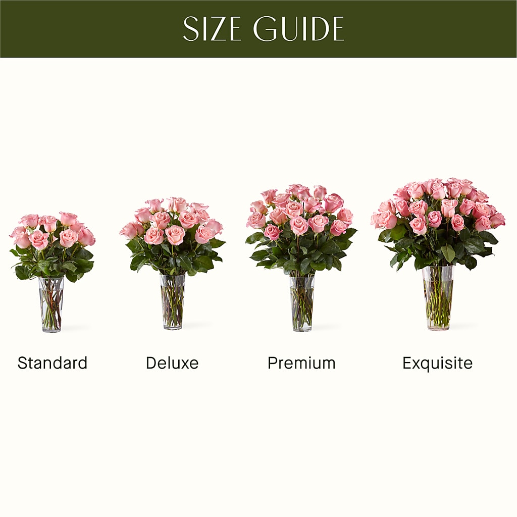 Long Stem Pink Rose Bouquet – Family Fare Supermarkets #3785, Omaha NE