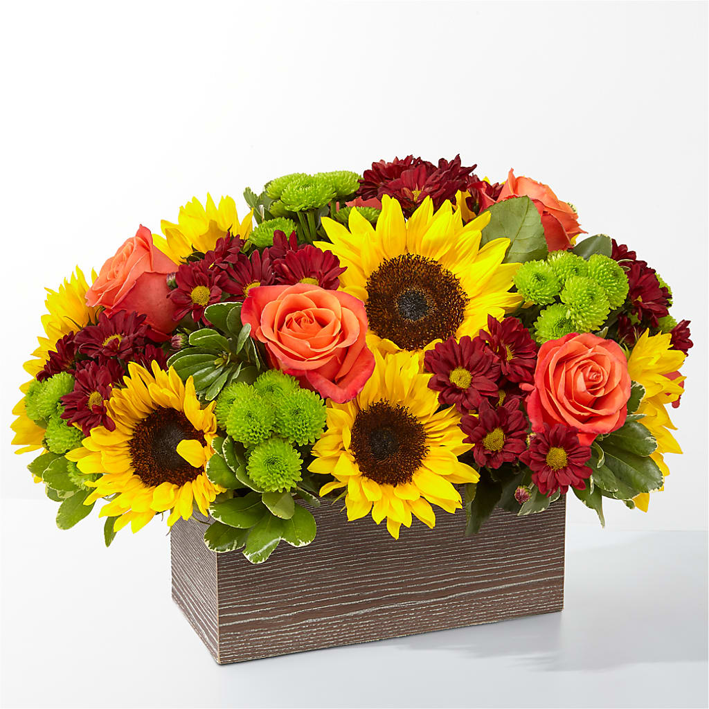 Happy Harvest Garden – Family Fare Supermarkets #3785, Omaha NE