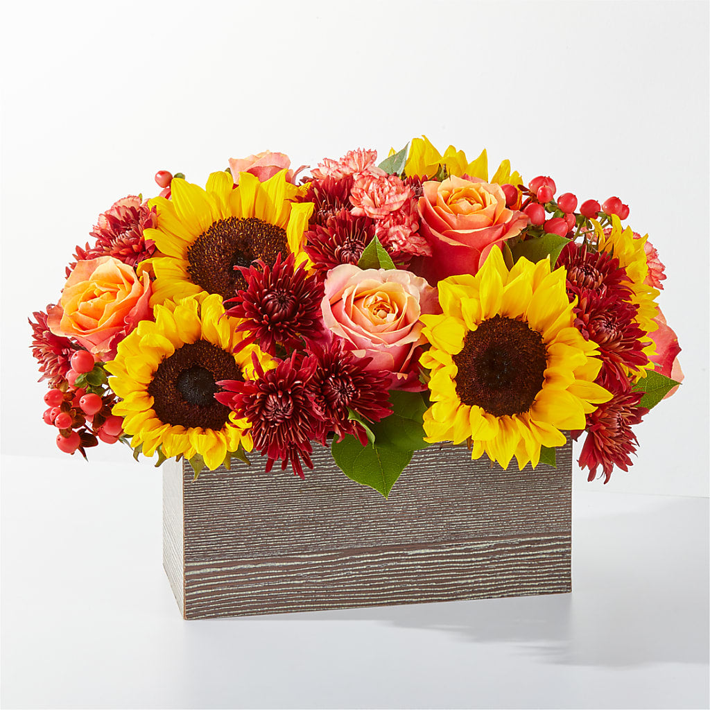Fresh Cider Bouquet – Family Fare Supermarkets #3785, Omaha NE