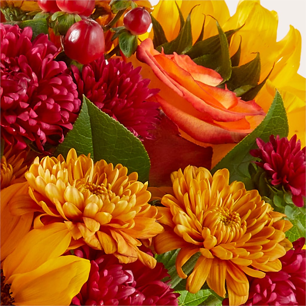 Sweater Season - A Florist Original – Family Fare Supermarkets #3785, Omaha NE
