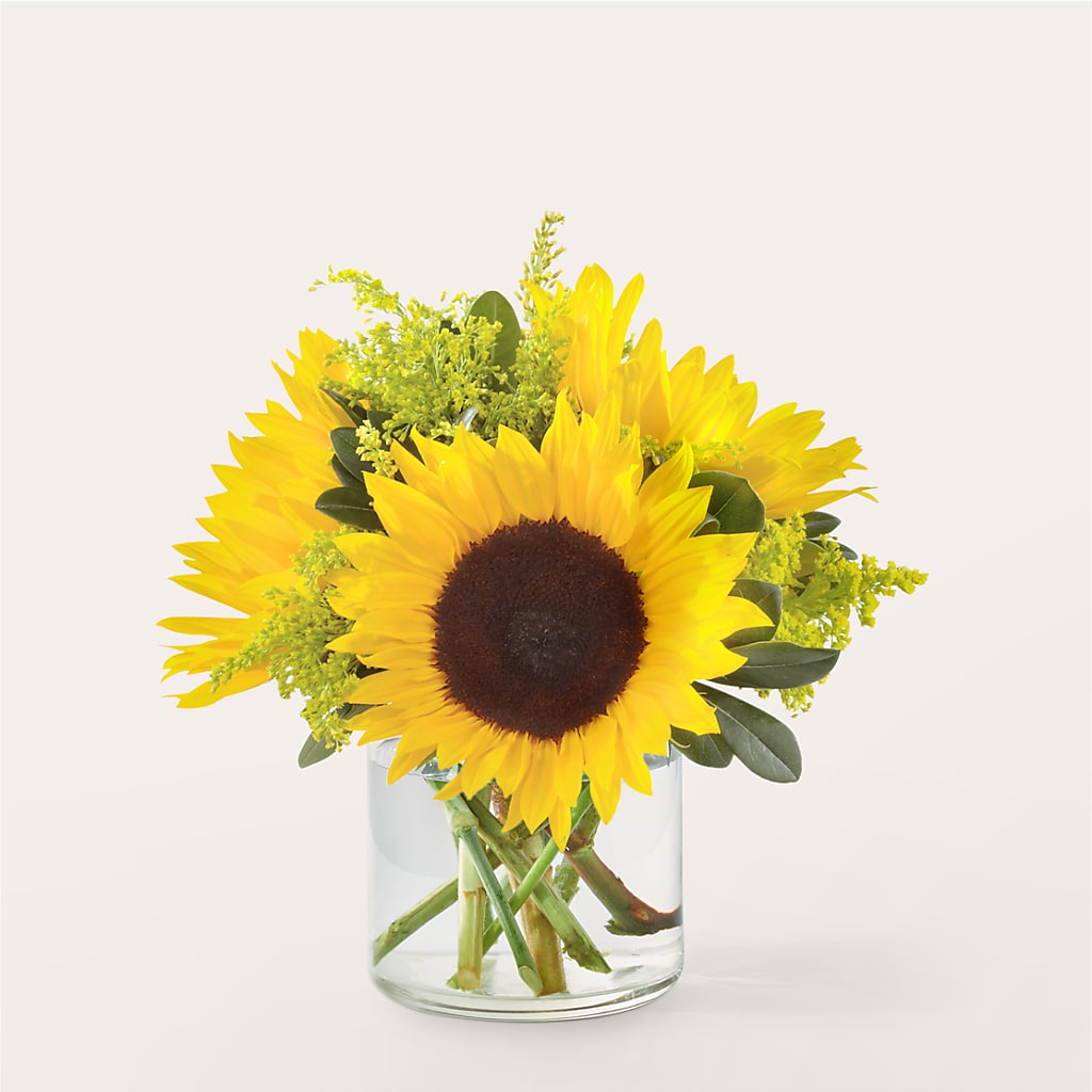 Beaming Sunflower Bouquet – Family Fare Supermarkets #3785, Omaha NE