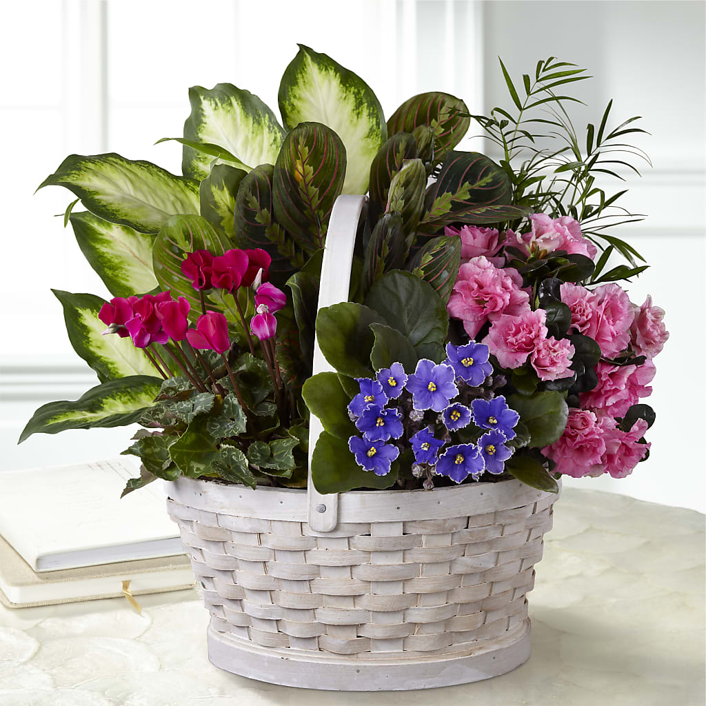 Peaceful Garden Planter – Family Fare Supermarkets #3785, Omaha NE