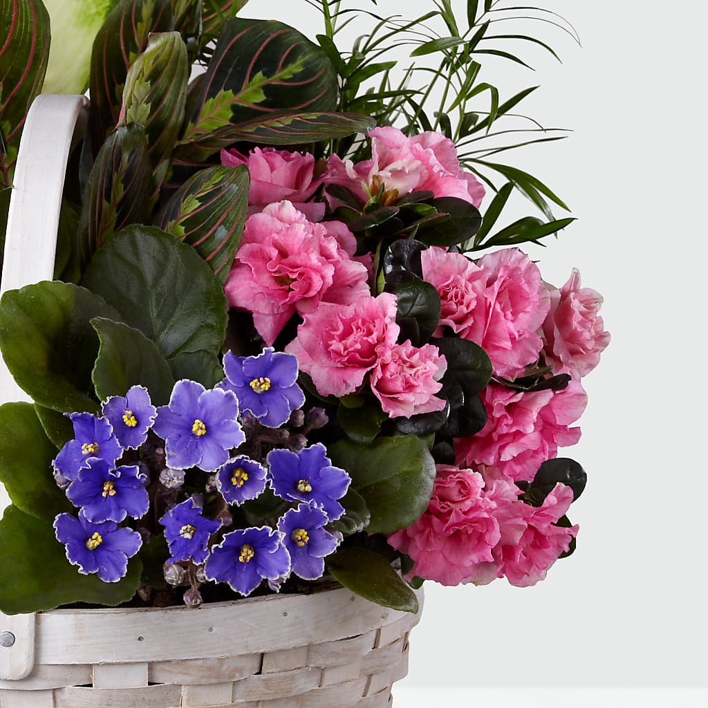 Peaceful Garden Planter – Family Fare Supermarkets #3785, Omaha NE