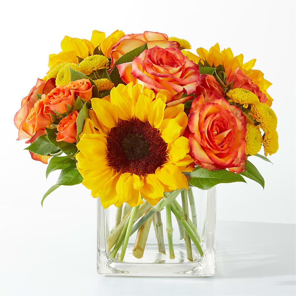 Picnic in the Park Bouquet – Family Fare Supermarkets #3785, Omaha NE