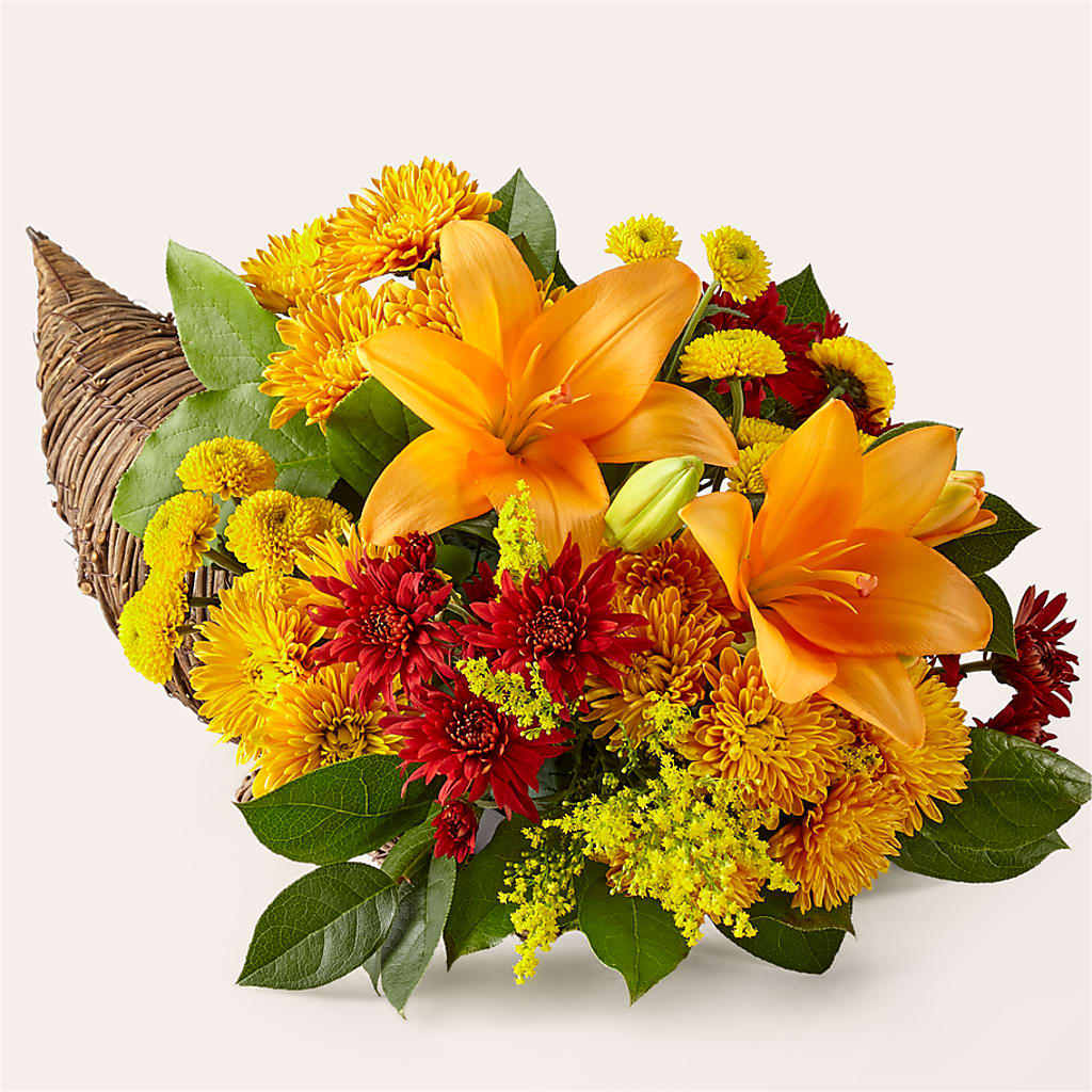 Feast of Color Cornucopia – Family Fare Supermarkets #3785, Omaha NE