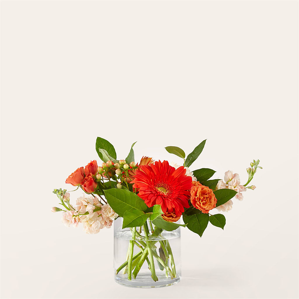 Paloma Please Bouquet – Family Fare Supermarkets #3785, Omaha NE