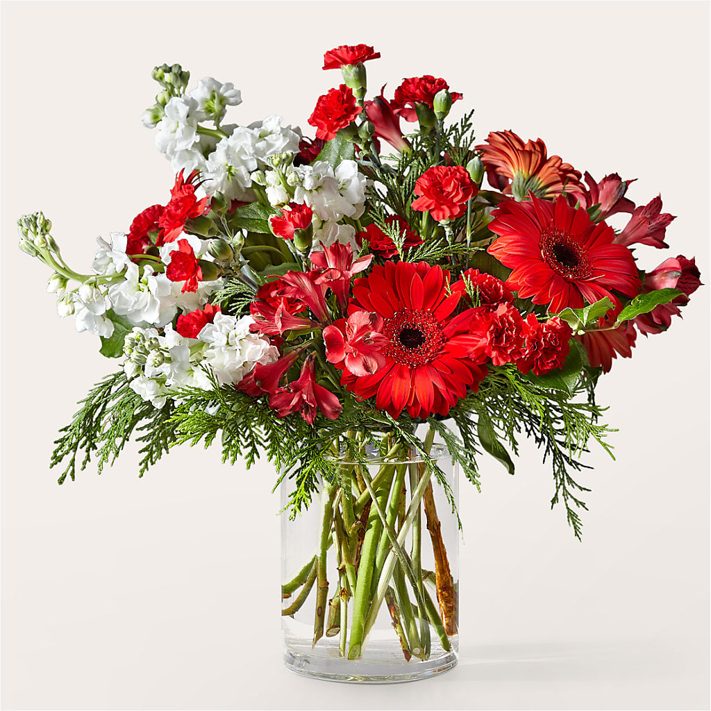 Holidaisy Bouquet – Family Fare Supermarkets #3785, Omaha NE