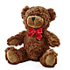 Adorable Plush Bear –  Family Fare Supermarkets #3785, Omaha NE