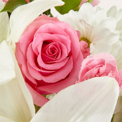 Whispers of Comfort Bouquet –  Family Fare Supermarkets #3785, Omaha NE
