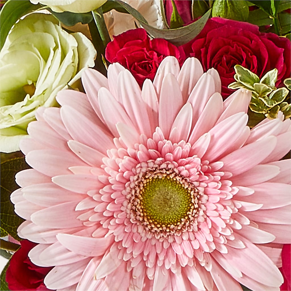 Too Cute Bouquet –  Family Fare Supermarkets #3785, Omaha NE