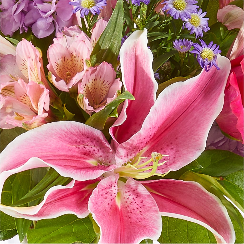 Written in the Stars Bouquet –  Family Fare Supermarkets #3785, Omaha NE