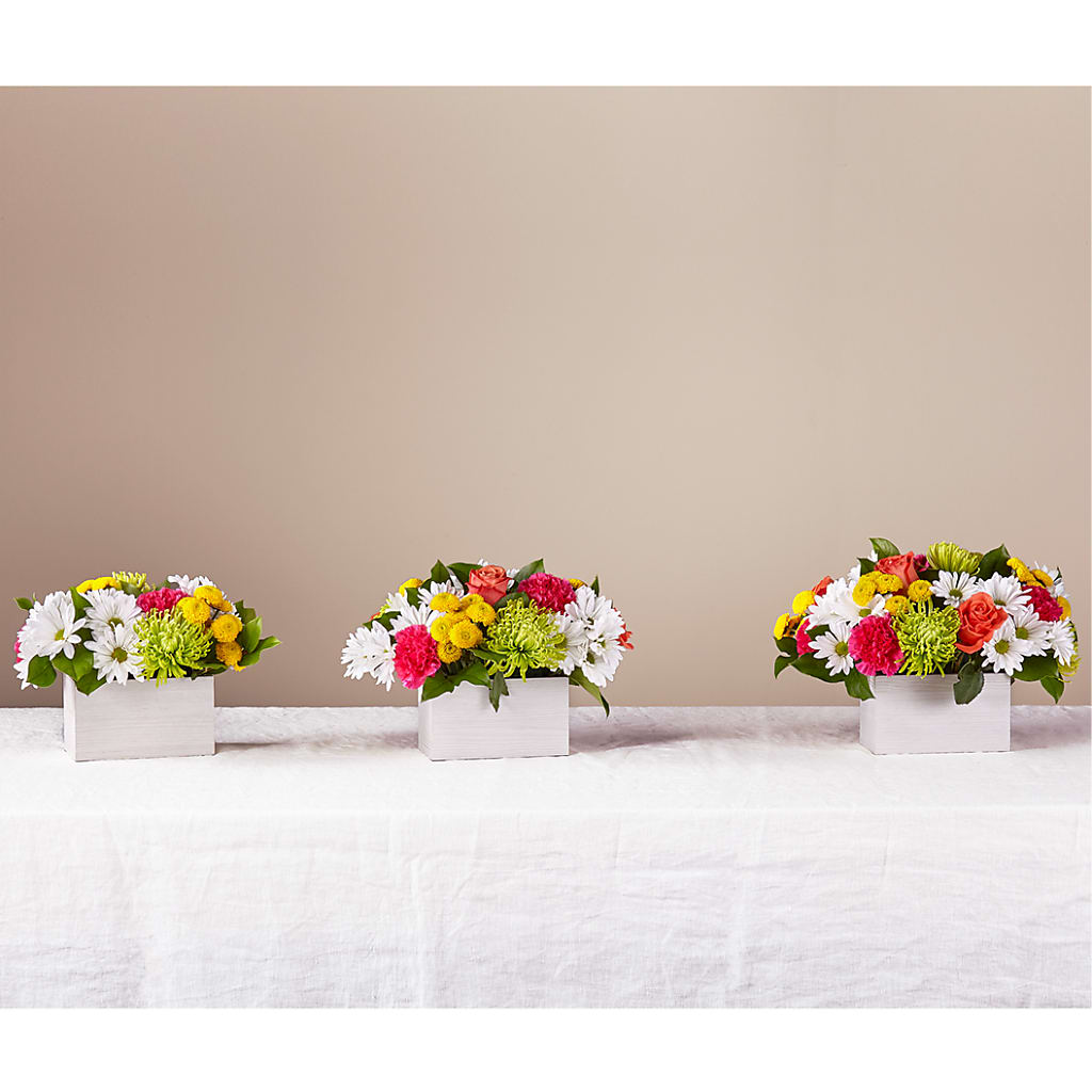 Sorbet Bouquet –  Family Fare Supermarkets #3785, Omaha NE