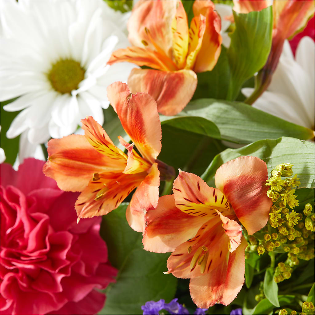 Oopsie Daisy Box Bouquet –  Family Fare Supermarkets #3785, Omaha NE