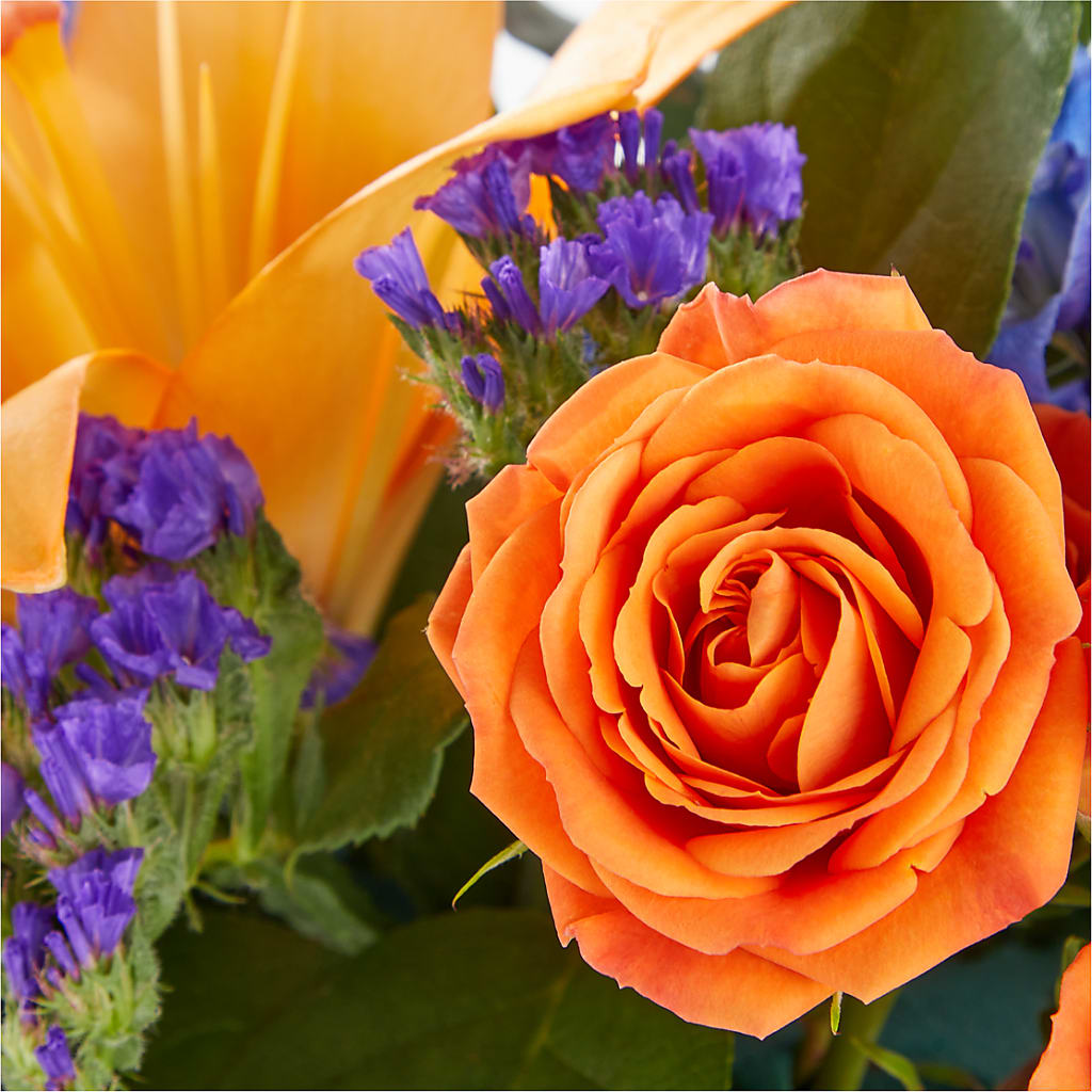 Radiant Citrus Box Bouquet –  Family Fare Supermarkets #3785, Omaha NE
