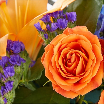 Radiant Citrus Box Bouquet –  Family Fare Supermarkets #3785, Omaha NE