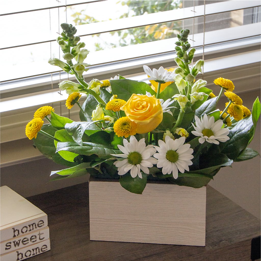 Sun Salutation Box Bouquet –  Family Fare Supermarkets #3785, Omaha NE