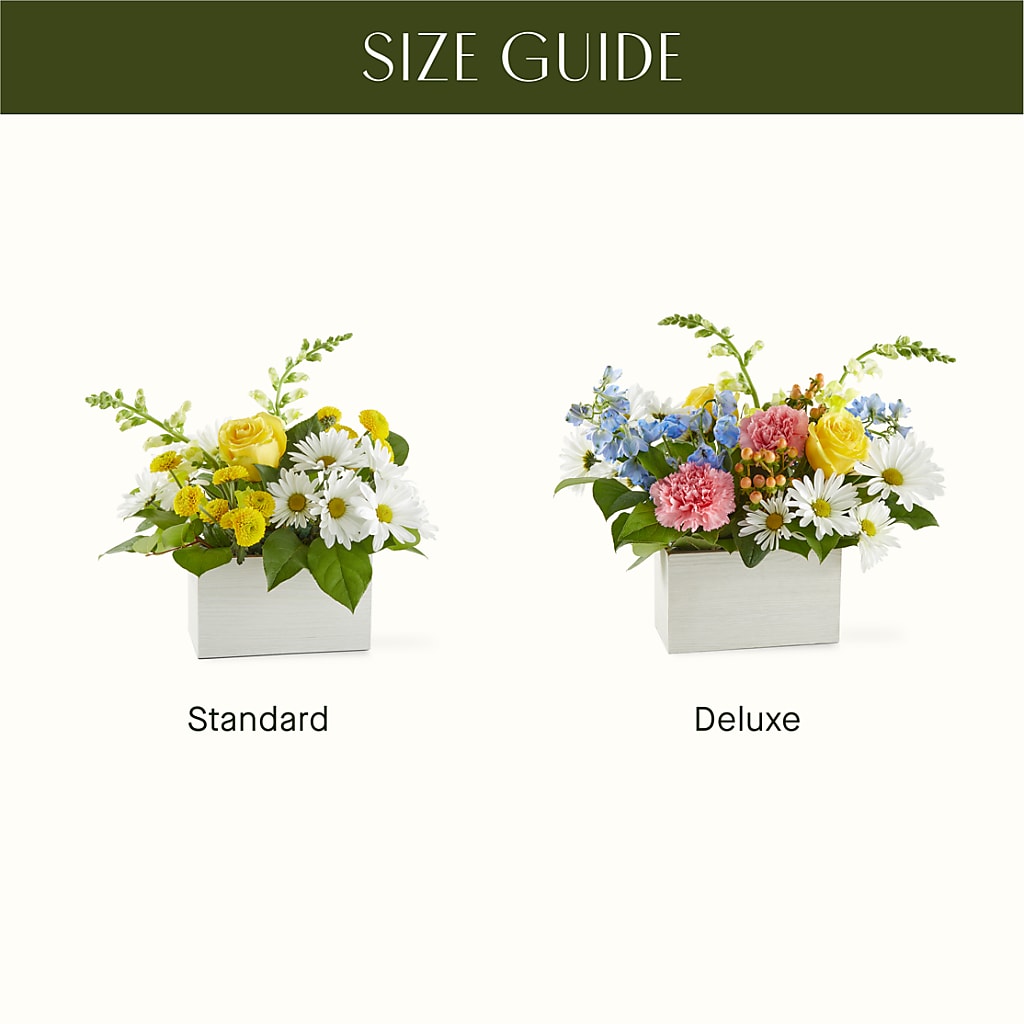Sun Salutation Box Bouquet –  Family Fare Supermarkets #3785, Omaha NE