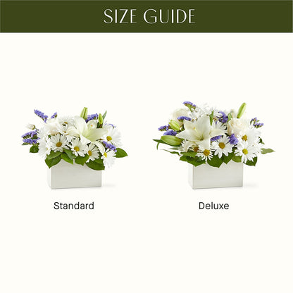 Beyond Blue Box Bouquet –  Family Fare Supermarkets #3785, Omaha NE