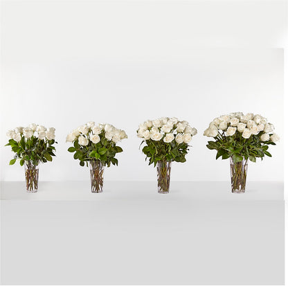 Long Stem White Rose Bouquet –  Family Fare Supermarkets #3785, Omaha NE