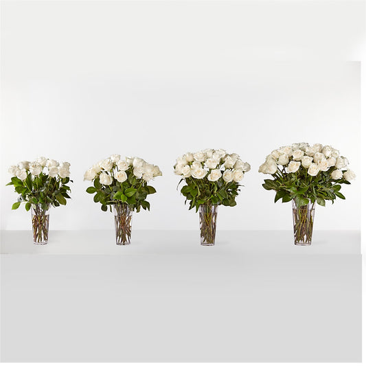 Long Stem White Rose Bouquet –  Family Fare Supermarkets #3785, Omaha NE