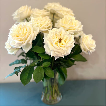 Long Stem Yellow Rose Bouquet –  Family Fare Supermarkets #3785, Omaha NE