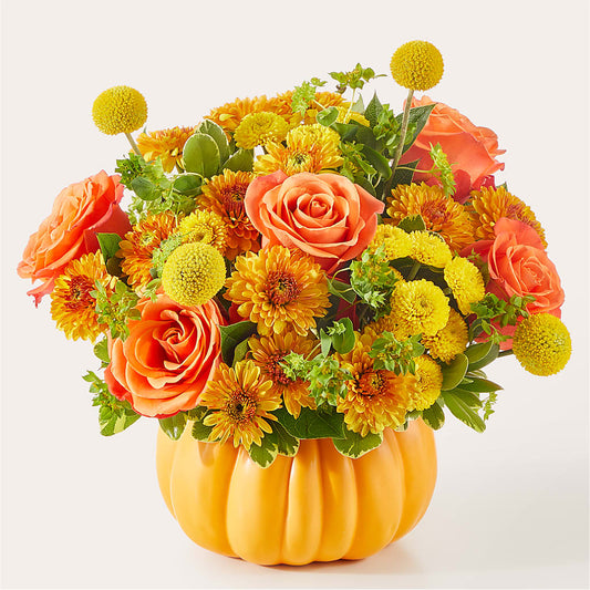 Gourdgeous Pumpkin –  Family Fare Supermarkets #3785, Omaha NE