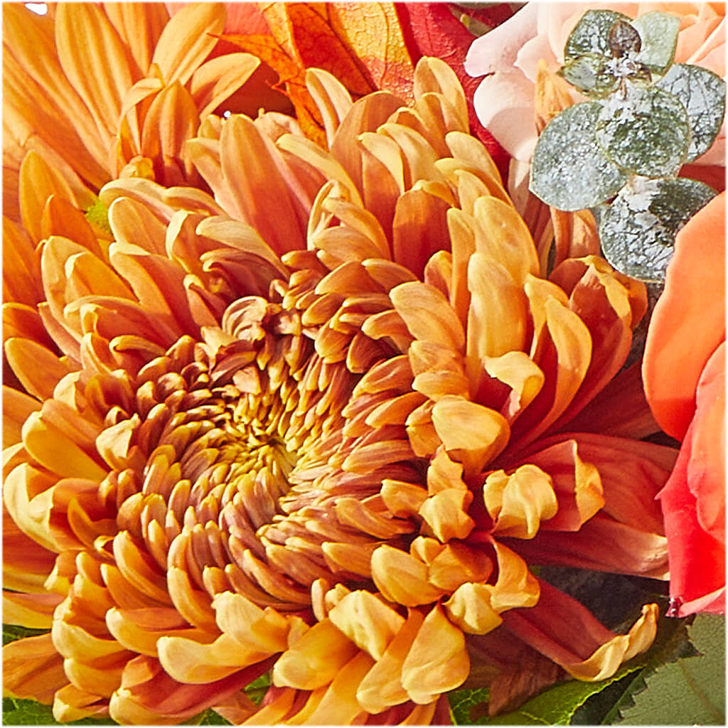 Scenic Route Bouquet –  Family Fare Supermarkets #3785, Omaha NE