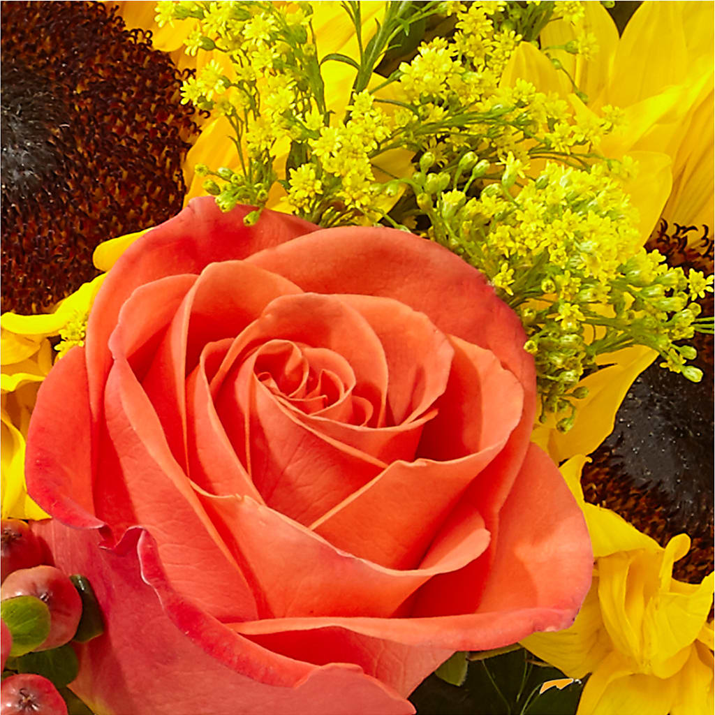 Pick of the Patch Pumpkin Bouquet –  Family Fare Supermarkets #3785, Omaha NE