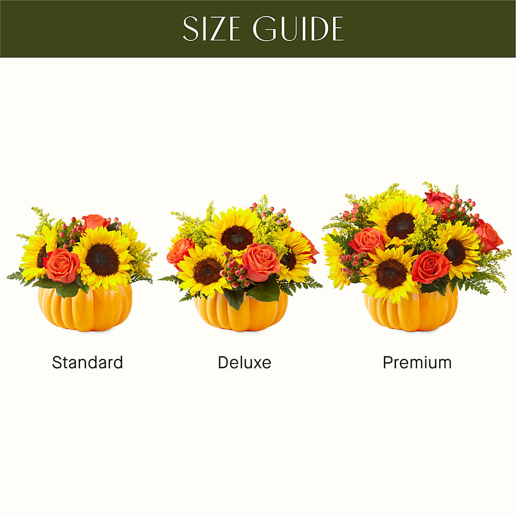 Pick of the Patch Pumpkin Bouquet –  Family Fare Supermarkets #3785, Omaha NE
