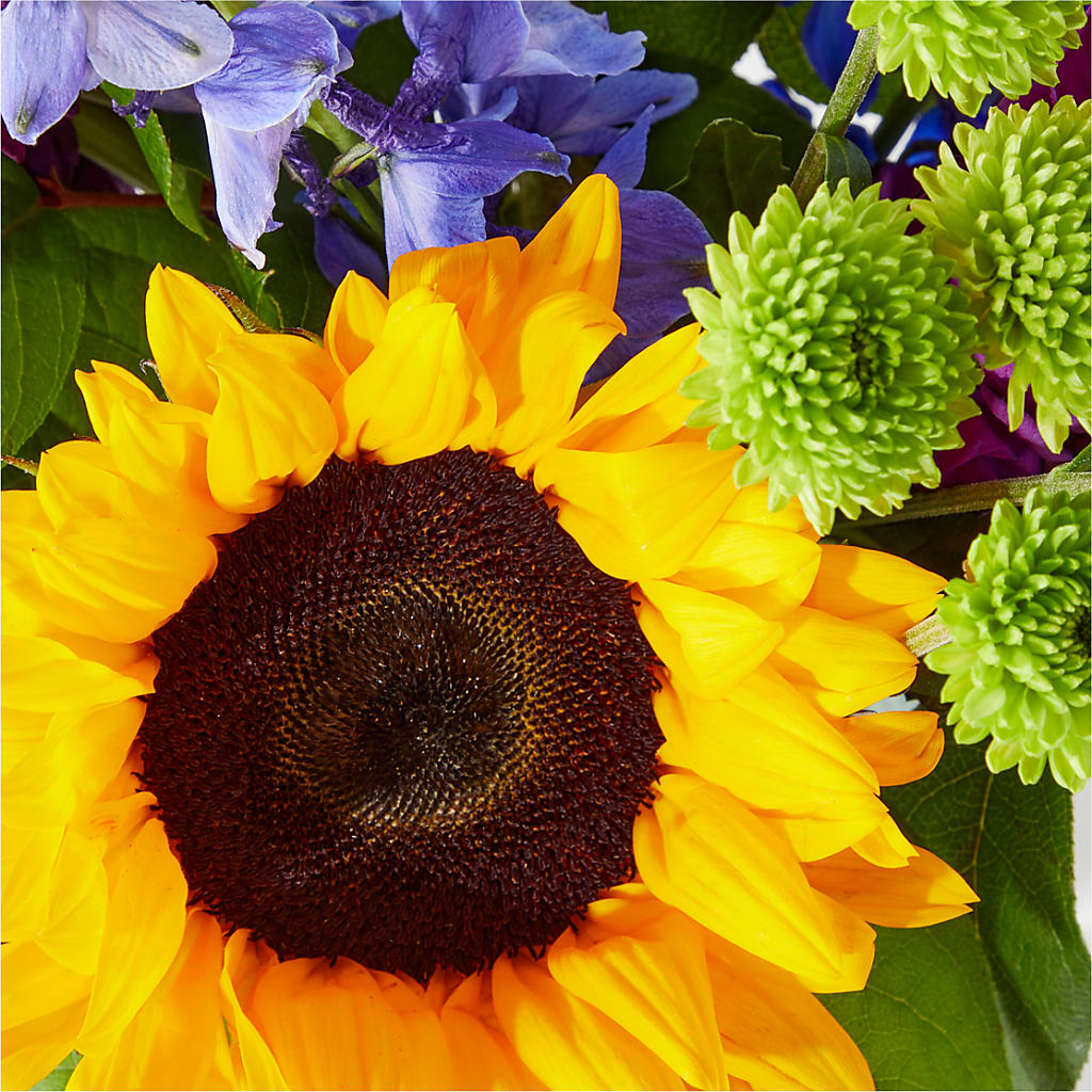 Catching Rays Bouquet –  Family Fare Supermarkets #3785, Omaha NE