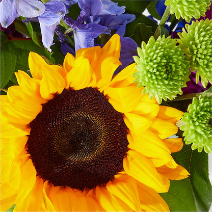 Catching Rays Bouquet –  Family Fare Supermarkets #3785, Omaha NE