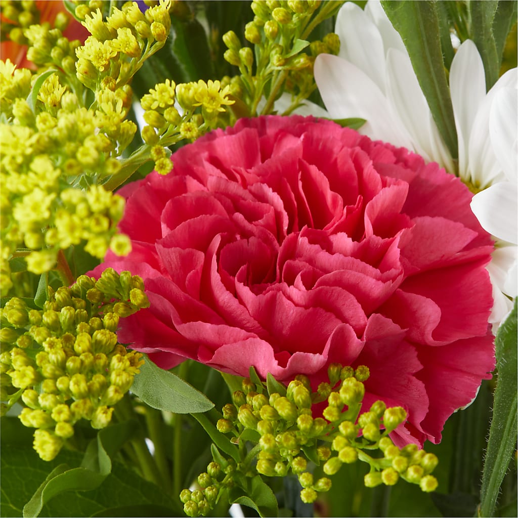 Oopsie Daisy Bouquet –  Family Fare Supermarkets #3785, Omaha NE