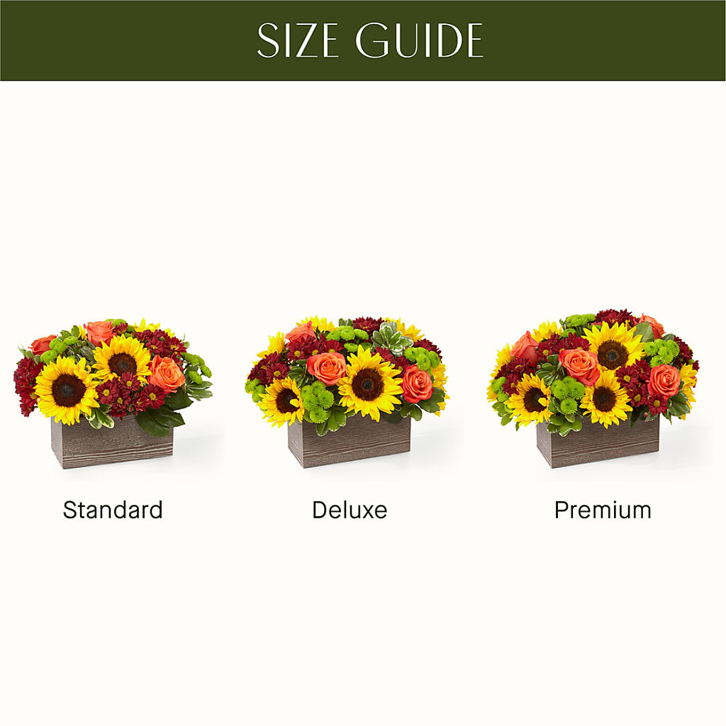 Happy Harvest Garden –  Family Fare Supermarkets #3785, Omaha NE