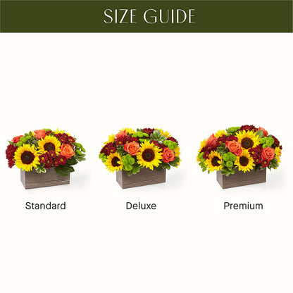 Happy Harvest Garden –  Family Fare Supermarkets #3785, Omaha NE