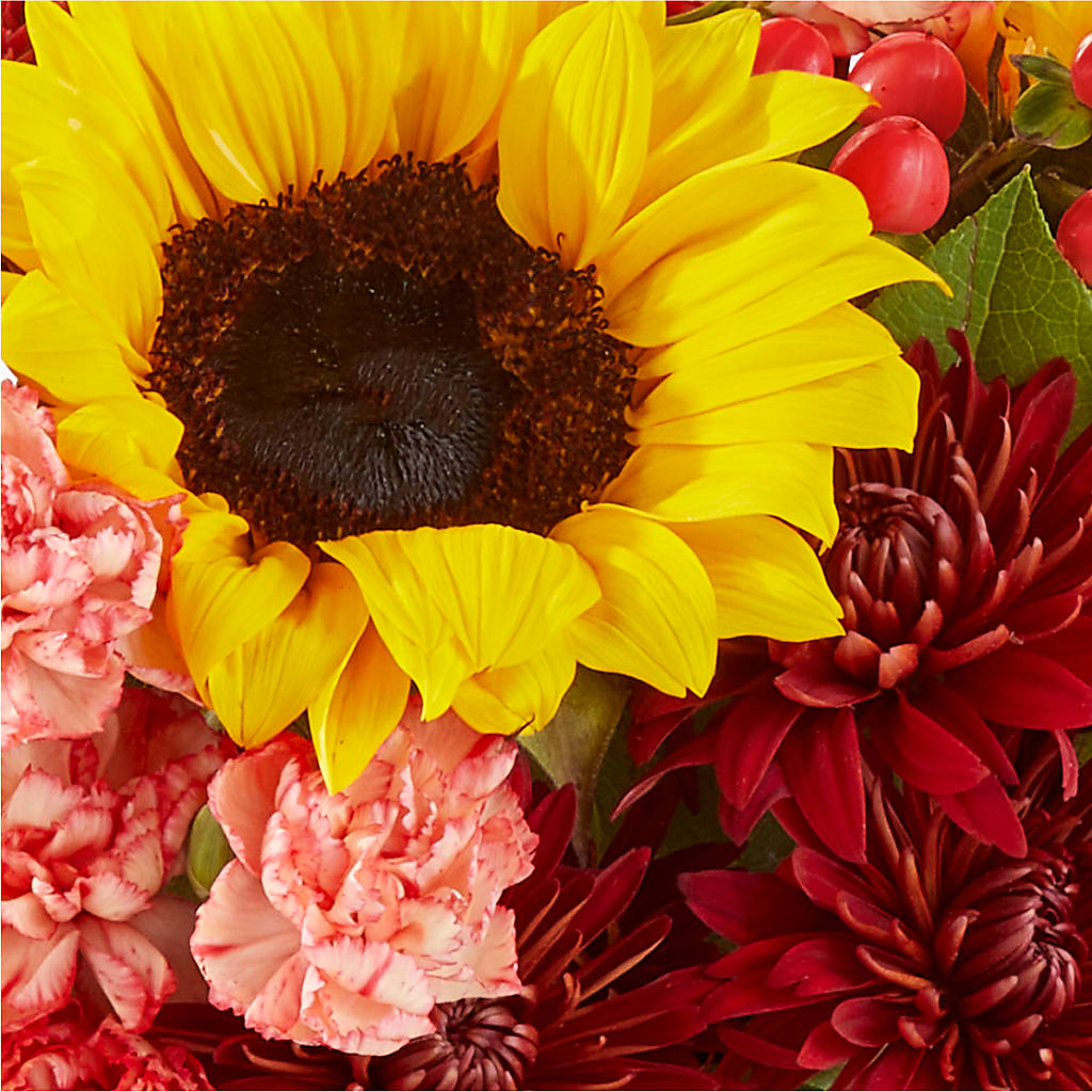 Fresh Cider Bouquet –  Family Fare Supermarkets #3785, Omaha NE