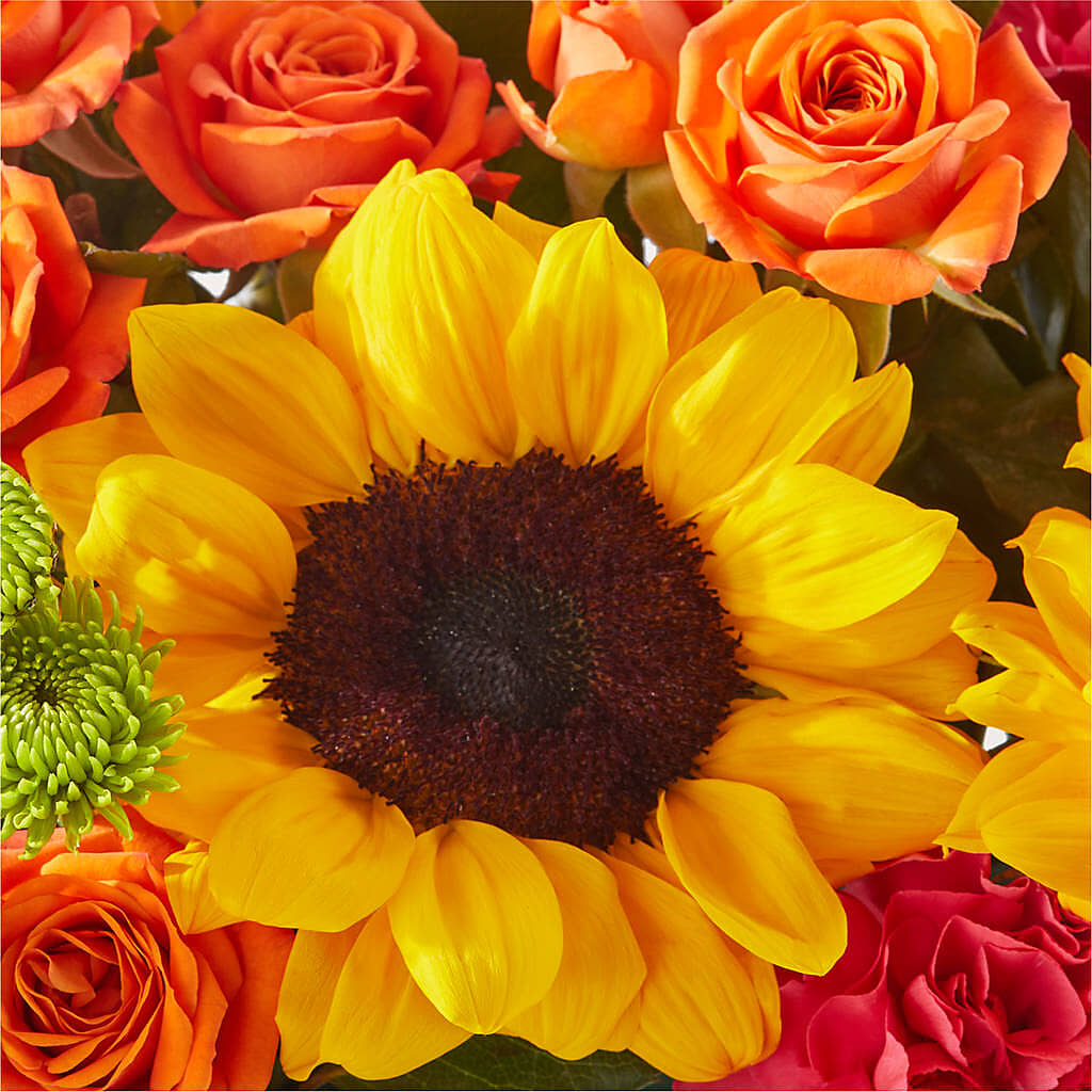 Sun-drenched Blooms Box Bouquet –  Family Fare Supermarkets #3785, Omaha NE