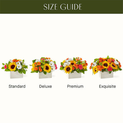 Sun-drenched Blooms Box Bouquet –  Family Fare Supermarkets #3785, Omaha NE