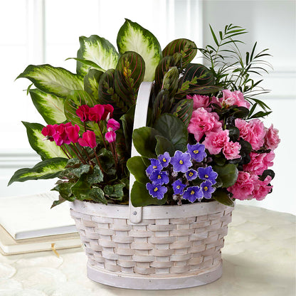 Peaceful Garden Planter –  Family Fare Supermarkets #3785, Omaha NE