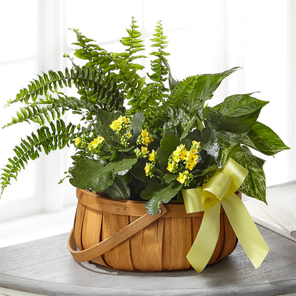 Always Dear Dishgarden –  Family Fare Supermarkets #3785, Omaha NE