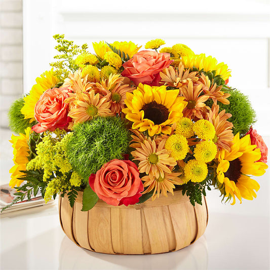 Harvest Sunflower Basket – FAMILY FARE SUPERMARKETS #3785, Omaha NE
