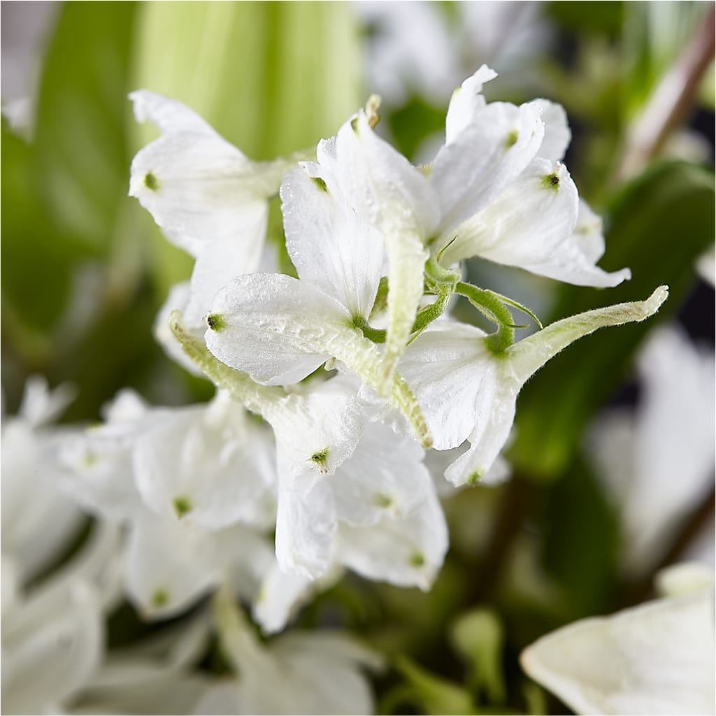 Classic Ivory – A Florist Original –  Family Fare Supermarkets #3785, Omaha NE