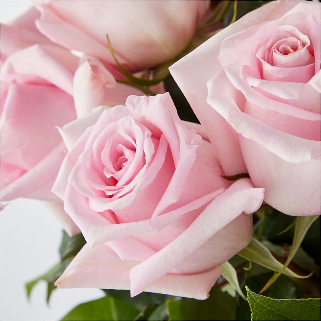 Picture Perfect Pink Rose Bouquet –  Family Fare Supermarkets #3785, Omaha NE