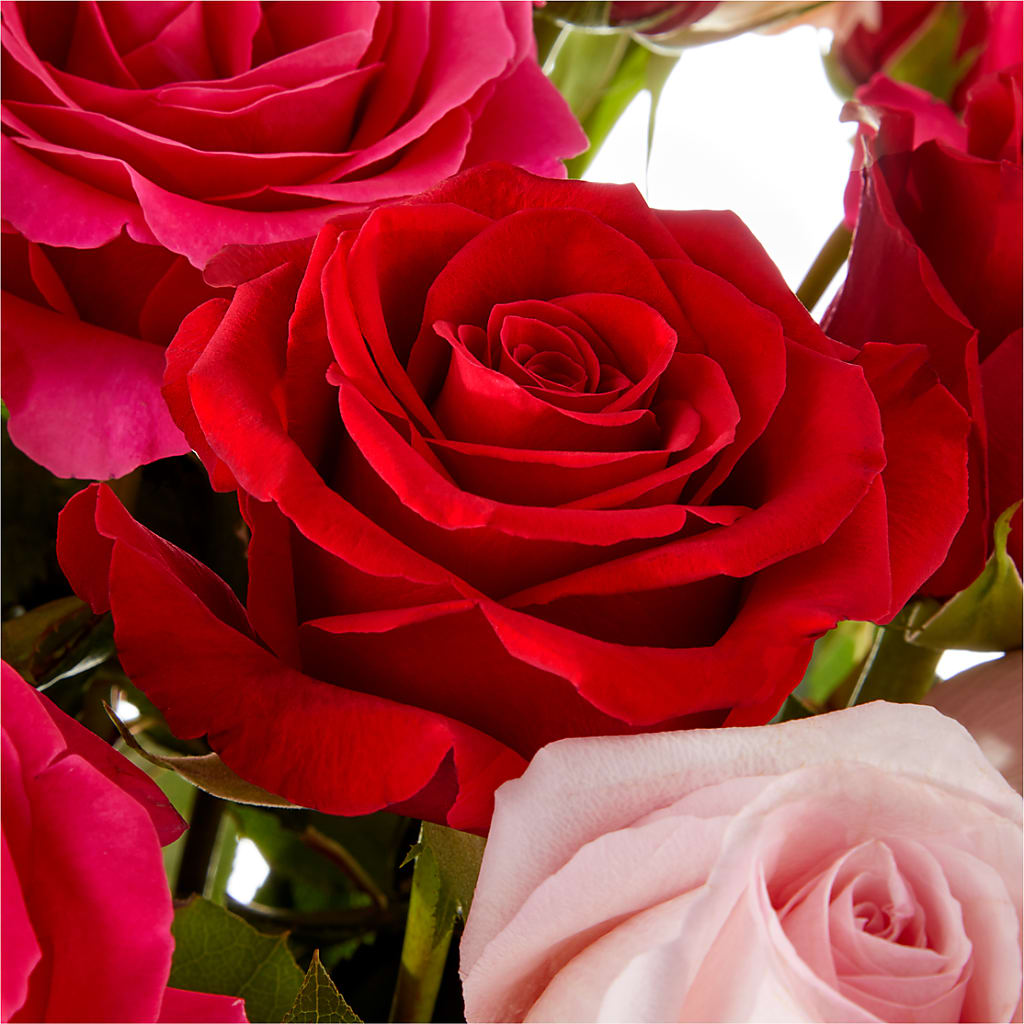 Love Notes Rose Bouquet –  Family Fare Supermarkets #3785, Omaha NE