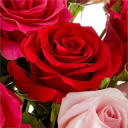 Love Notes Rose Bouquet –  Family Fare Supermarkets #3785, Omaha NE